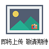 意大利FINMOTOR濾波器